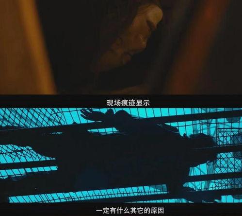 国产浮力影视